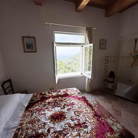 Apartment Casa Sangineto - - Costa Amalfitana- A Paradise In The Countryside *