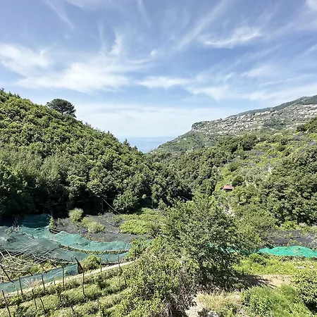 Casa Sangineto - - Costa Amalfitana- A Paradise In The Countryside