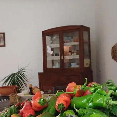 Apartment Casa Sangineto - - Costa Amalfitana- A Paradise In The Countryside Minori