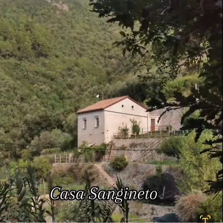 Apartment Casa Sangineto - - Costa Amalfitana- A Paradise In The Countryside