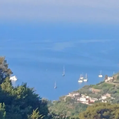 Apartment Casa Sangineto - - Costa Amalfitana- A Paradise In The Countryside